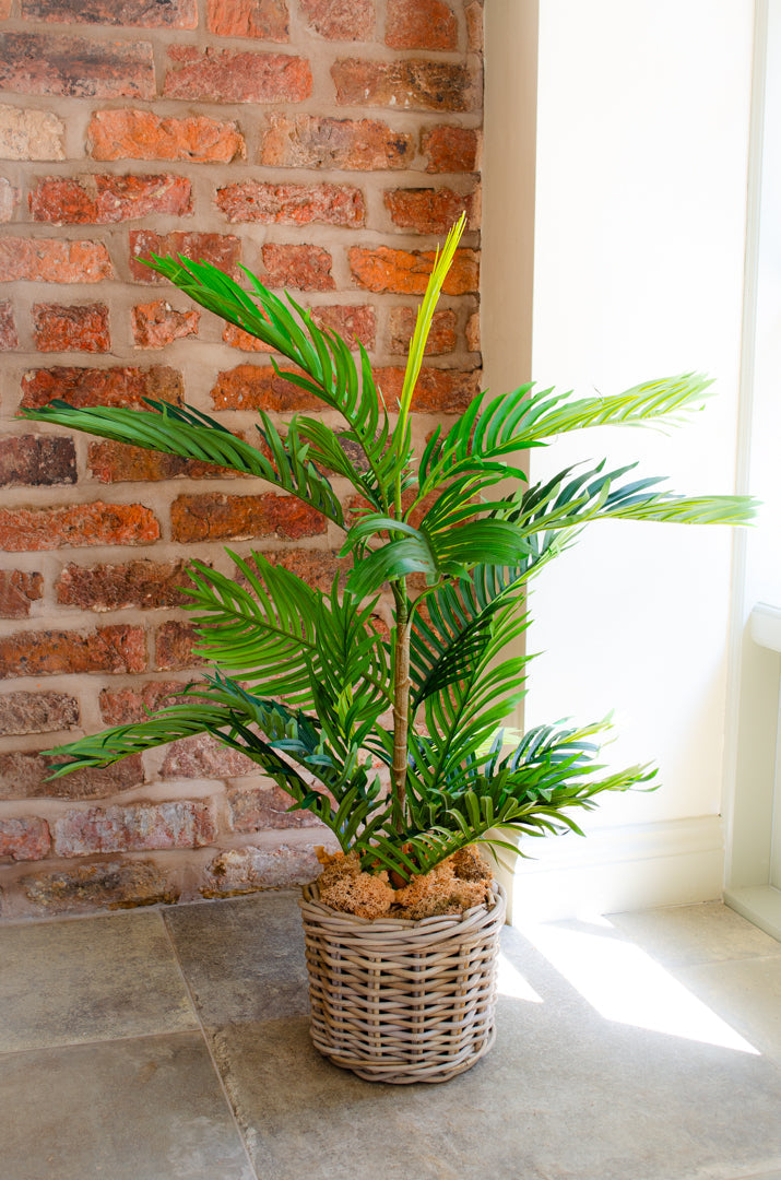 Lifelike Artificial Phoenix Palm Tree for Indoor Decor - Available in Two Sizes 0