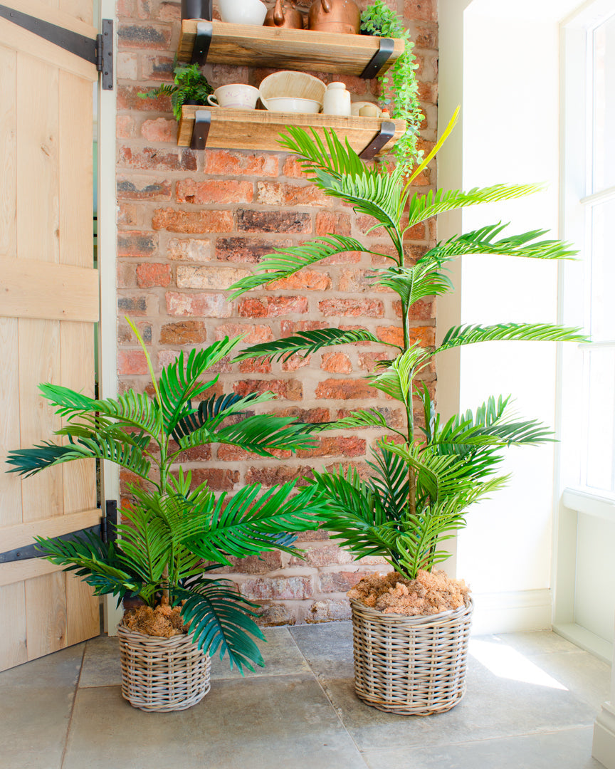 Lifelike Artificial Phoenix Palm Tree for Indoor Decor - Available in Two Sizes 1