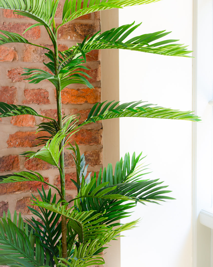 Lifelike Artificial Phoenix Palm Tree for Indoor Decor - Available in Two Sizes 2