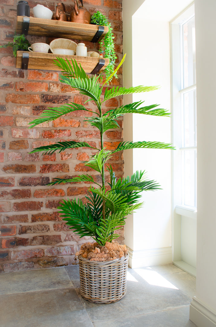 Lifelike Artificial Phoenix Palm Tree for Indoor Decor - Available in Two Sizes 3