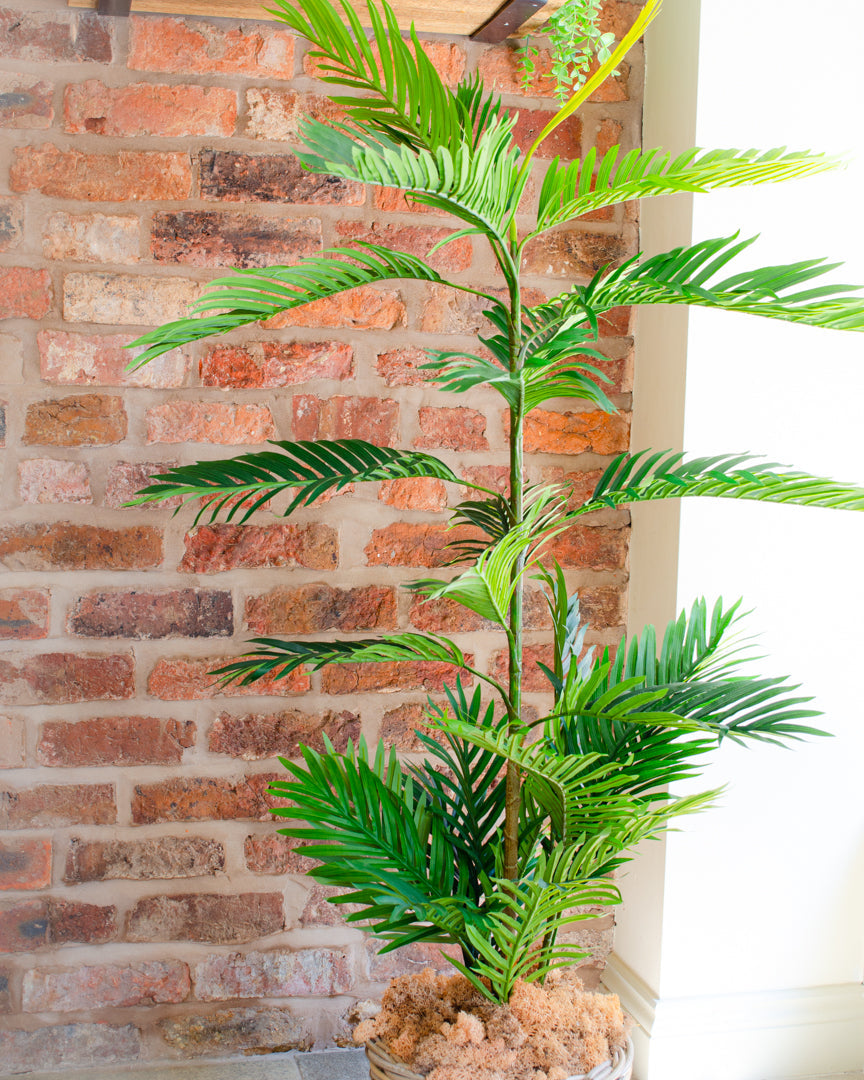 Lifelike Artificial Phoenix Palm Tree for Indoor Decor - Available in Two Sizes 4