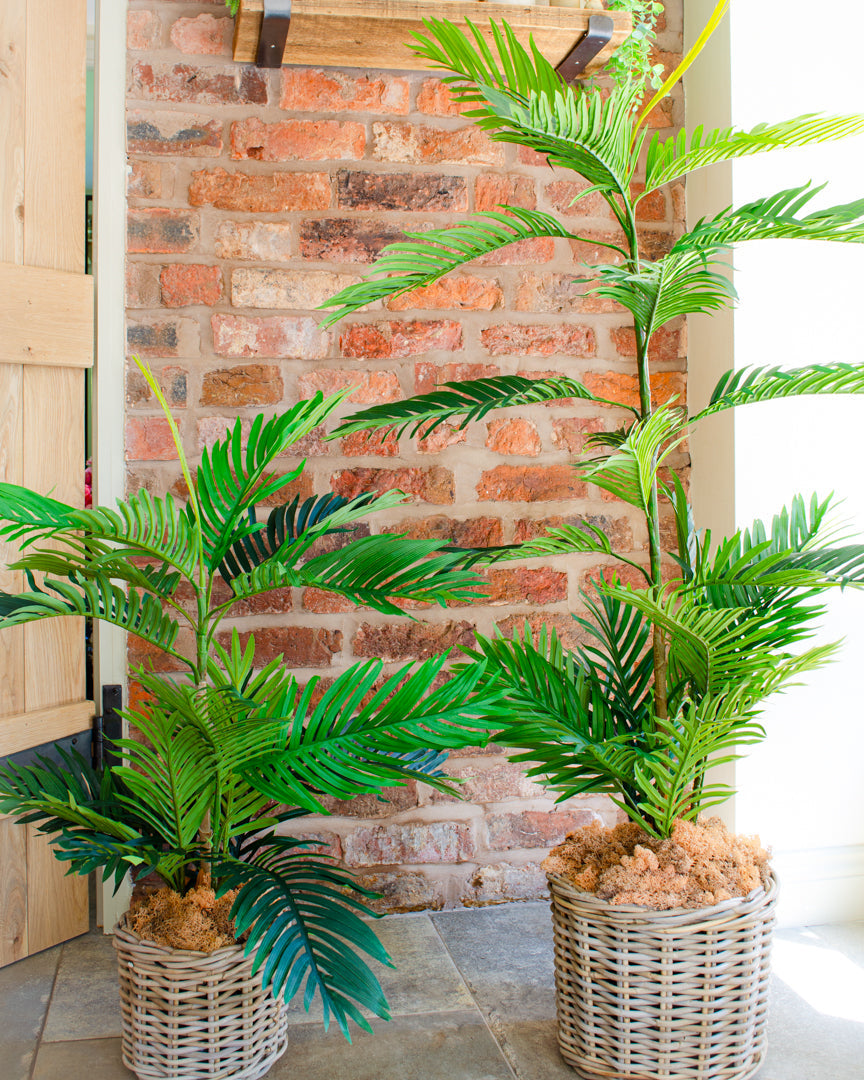 Lifelike Artificial Phoenix Palm Tree for Indoor Decor - Available in Two Sizes 5