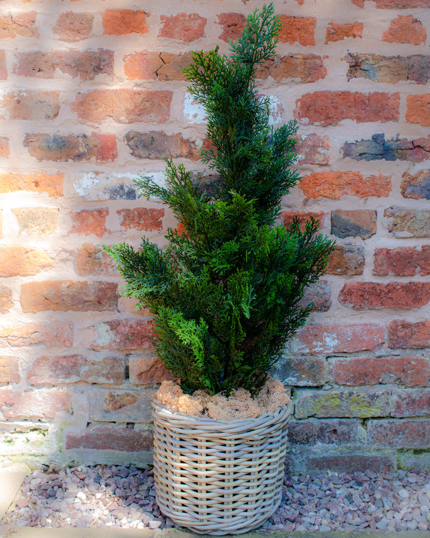 Lifesize Outdoor Cedar Tree with UV Protection for Patios and Porches 0