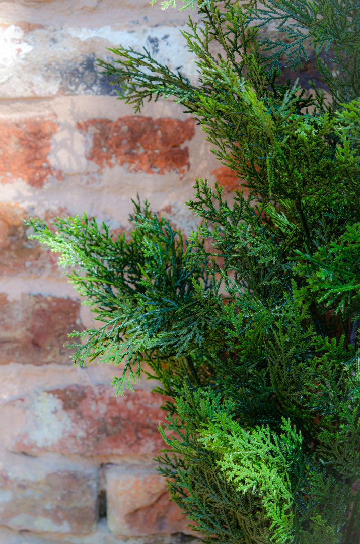 Lifesize Outdoor Cedar Tree with UV Protection for Patios and Porches 2