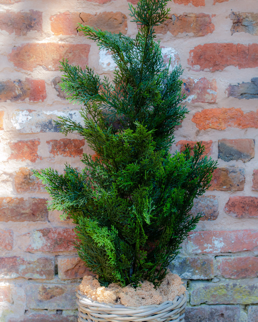 Lifesize Outdoor Cedar Tree with UV Protection for Patios and Porches 3