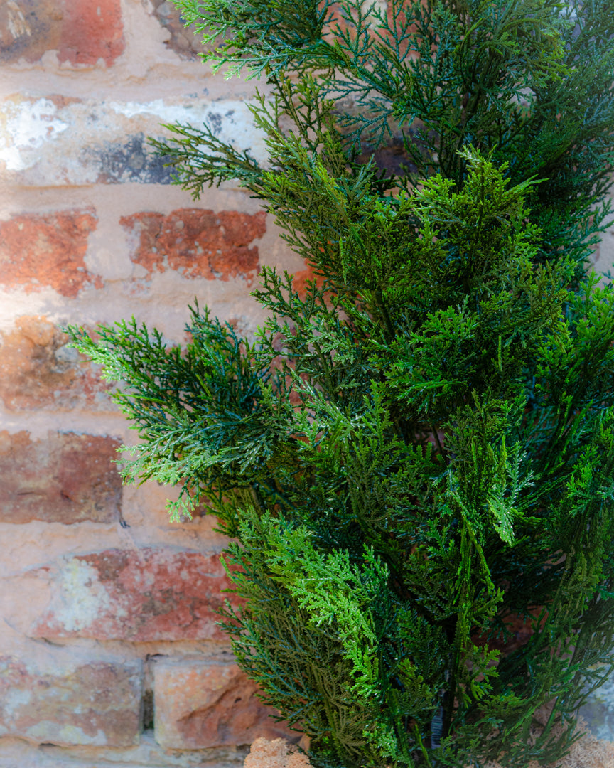 Lifesize Outdoor Cedar Tree with UV Protection for Patios and Porches 4