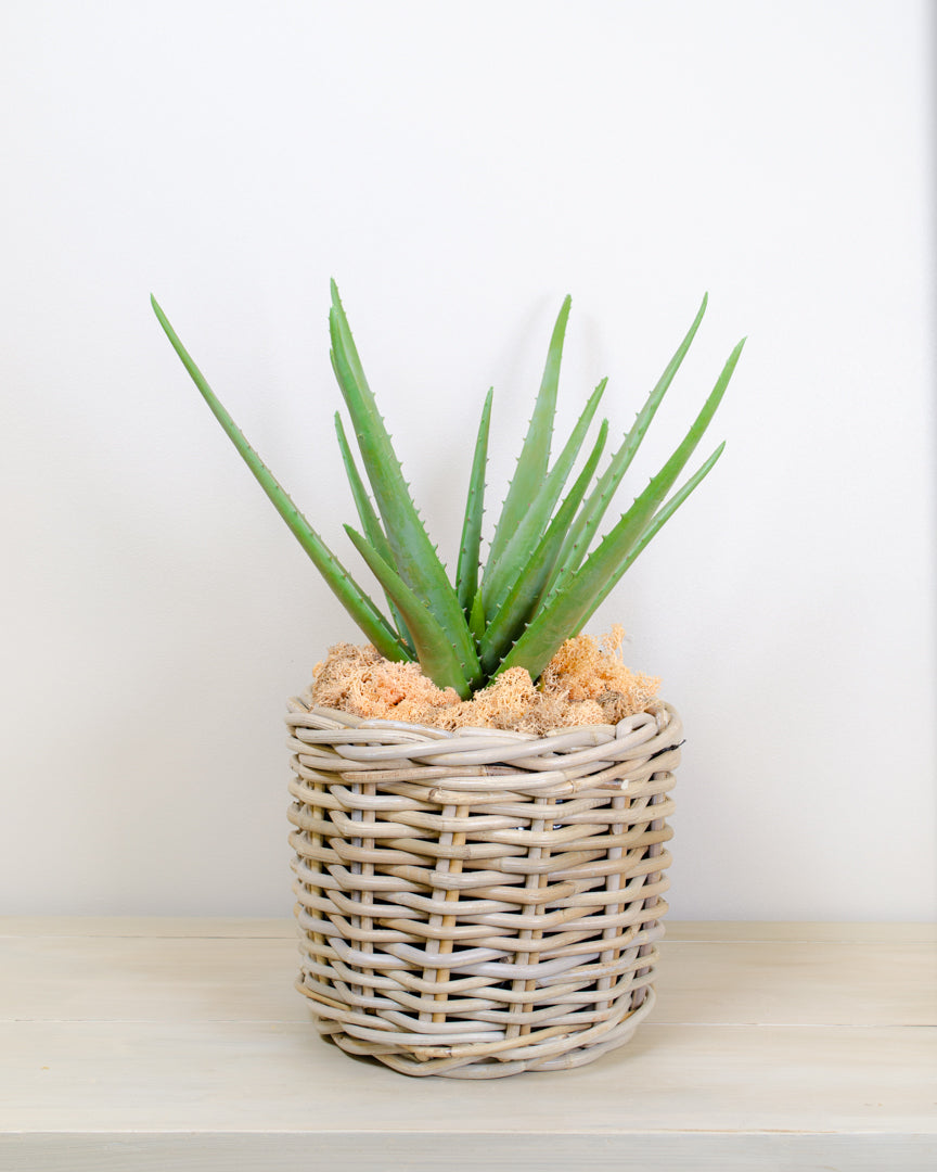 Realistic Artificial Aloe Vera Plant for Indoor Decor in Black Pot - Lifelike Faux Plant for Home Ambiance 2